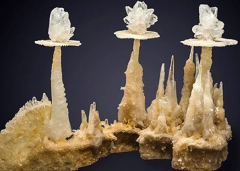 a new perspective on nutrients that can change the way we search for life 121616