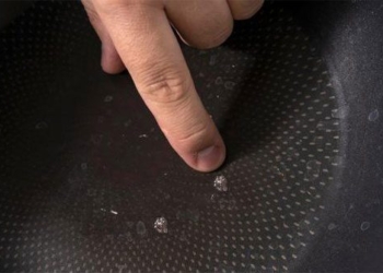 a small scratch on the plate can free thousands of plastic particles 124153