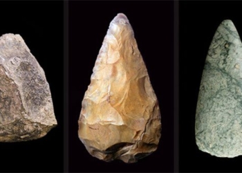 a type of advanced stone usable as tools like human made stone 118936