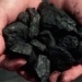 a type of fuel that rejuvenates in the context of global energy crisis 122182