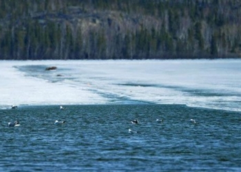 acid levels in oceans reach record highs in 26 000 years 120739