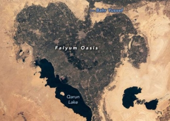 admire heart shaped octopus seen from space 118831