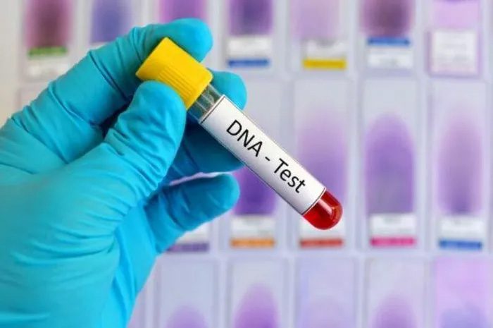 DNA can be widely applied in practical life to serve human needs.