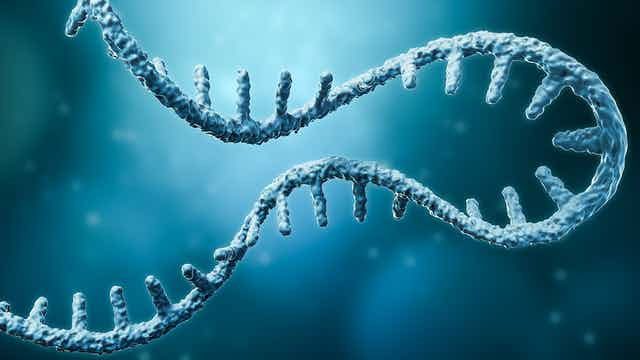 This method can identify a unique repeat sequence of over 50 genetic disorders.