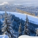 alert shocking about siberian maw reviving after 50000 years in permafrost 124410