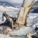 alps summit incident many people and aircraft remains disappear 122459