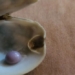 american diner discovers rare pearl hidden in 14 usd appetizer 122405