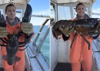 american fishermen catch crayfish not over 100 years old 120972