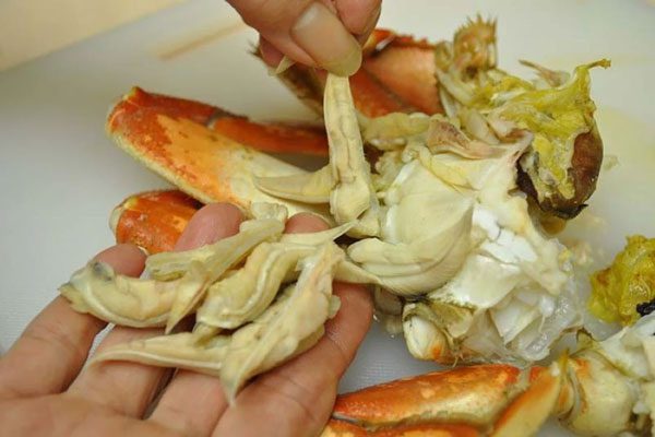  Crab gills are home to many parasites 