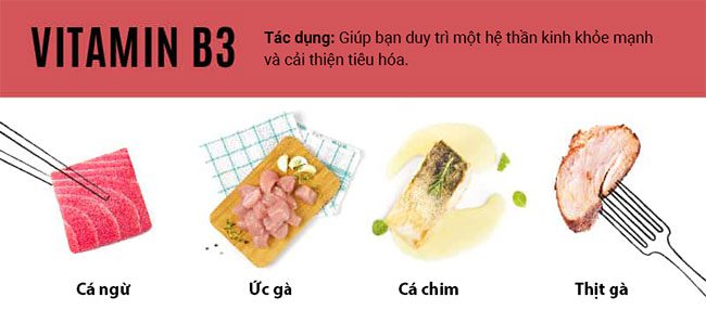 an de bo sung vitamin 2