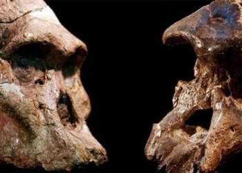 analysis of physical space finding the first human on earth 121401