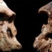 analysis of physical space finding the first human on earth 121401