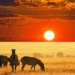 animals with curved horns in africa which new species 122975