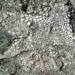 another mystery of the holy black church mexico challenges science 119368