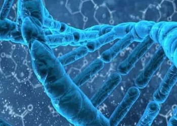 applications of dna in daily life many people may not know 123466