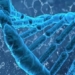 applications of dna in daily life many people may not know 123466