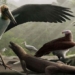 archaeologists find giant stone flower species taller than humans 121731