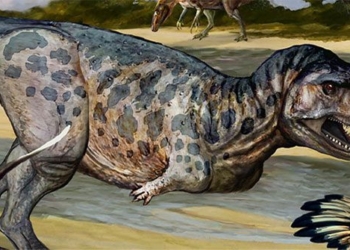 argentina discovers unique fossil of dinosaur 90 million years ago 122924