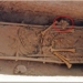 armor made of rare gemstone found in chinese tomb site 118308