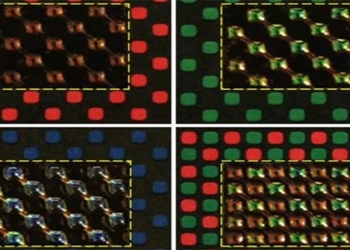artificial cell development changes color like octopus 119009