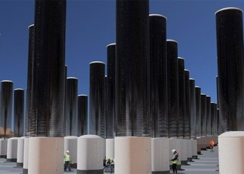 artificial forest absorbs 1 000 tons of co2 every day 118555