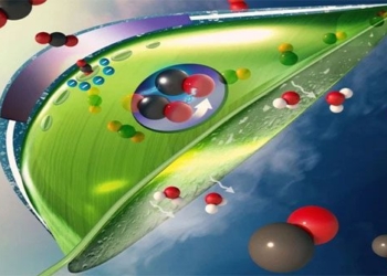 artificial intelligence absorbs co2 in the us consumes led light bulb very high efficiency 118797