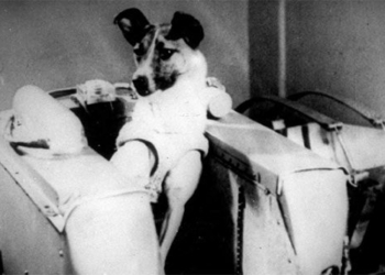 astronaut for laika and one way flight 121179