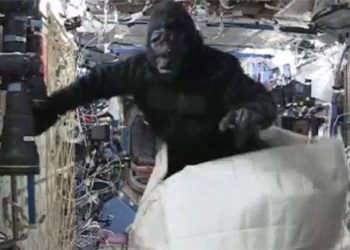 astronauts bring space suit to international space station iss 118234