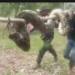 attack on giant naked man caught by group of young people 120913