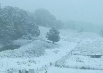 australia winter cold has not been seen in over 100 years 121024