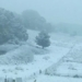 australia winter cold has not been seen in over 100 years 121024