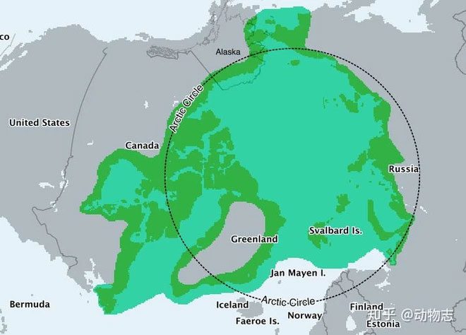 Temperatures in Antarctica are lower than in the Arctic.