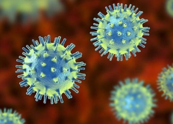 bacteria virus type virus can save millions of people 119806