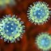 bacteria virus type virus can save millions of people 119806