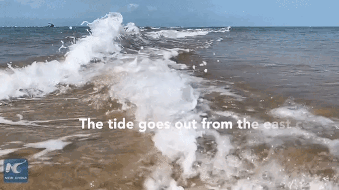 When the tide recedes, the giant fishbone sandbar will appear.