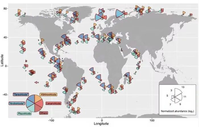 Distribution map of RNA viruses across the oceans