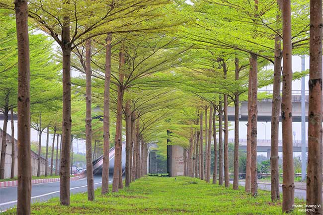 A busy intersection, but thanks to the green trees, this area is cool and pleasant