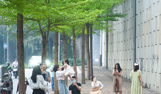 The riverside road along To Lich River attracted visitors to take photos last week