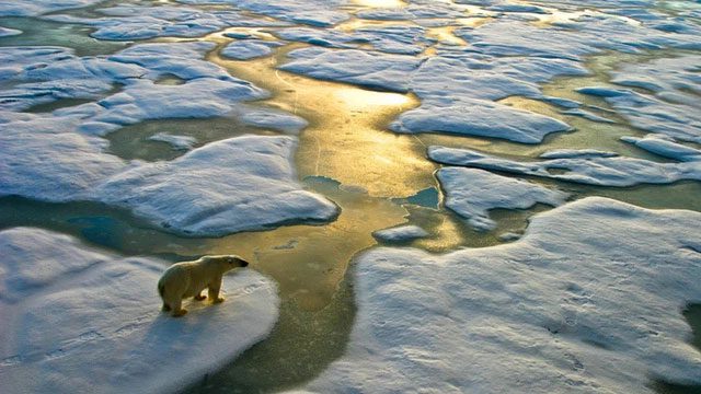 Sea levels will continue to rise in the context of global warming.