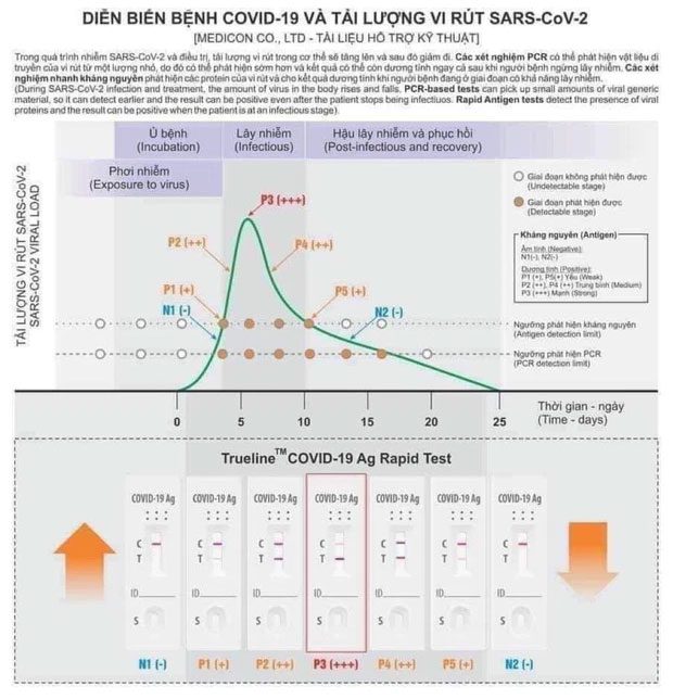 Monitoring chart for Covid-19 progression and SARS-CoV-2 viral load.
