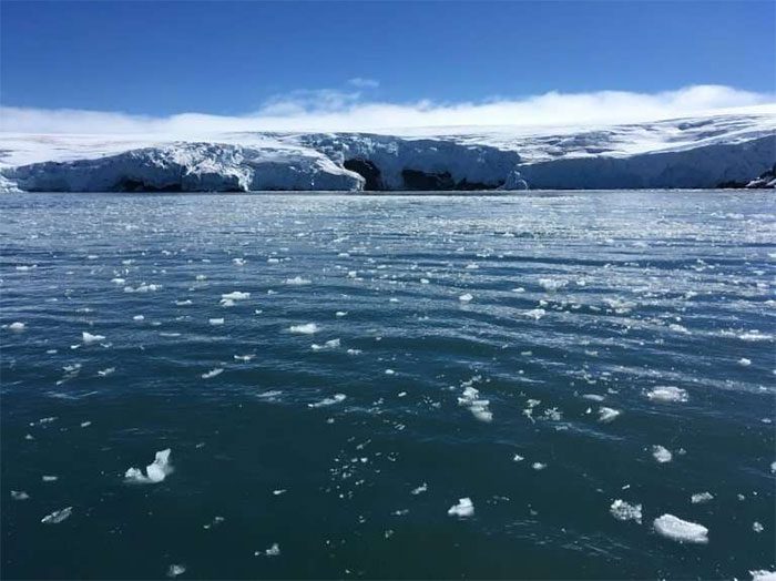 Icebergs on Collins Glacier, Antarctica, February 1, 2018.