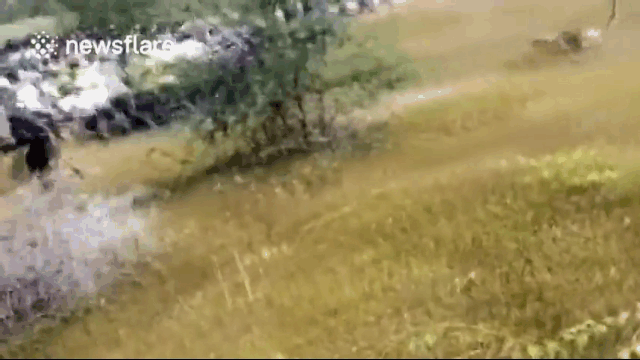 The attack resulted in 4 people being hospitalized, but fortunately, no fatalities.