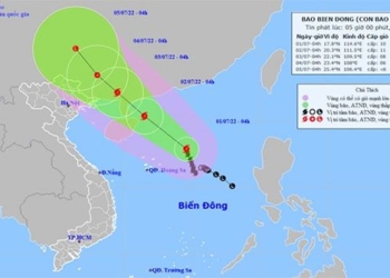bao so 1 chaba continues to thrive and approach northern region 121468