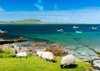 beautiful islands like poetry where you just need to pack your bag and come to live there for 5 billion vnd