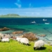 beautiful islands like poetry where you just need to pack your bag and come to live there for 5 billion vnd