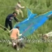 being attacked by mai dien cuong 120781