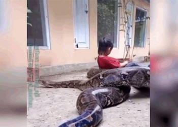 bi tran khong lo tiep can be gai co phan ung dang kinh ngac 120509