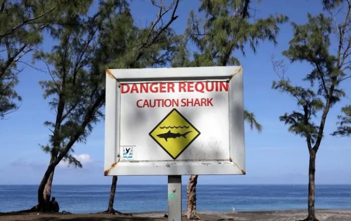 Shark warning sign on Réunion Island.