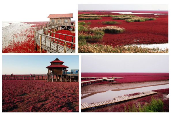 A fairy-tale-like scene at the Red Beach