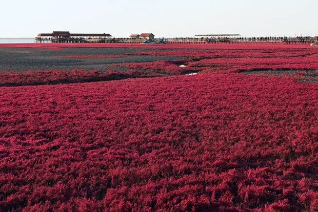 A fairy-tale-like scene at the Red Beach